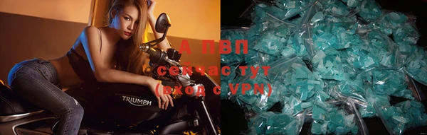 спайс Покачи