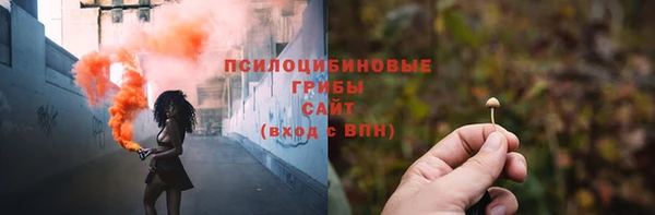 спайс Покачи