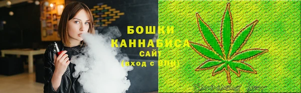 спайс Покачи
