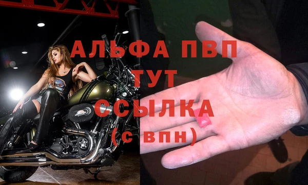 спайс Покачи