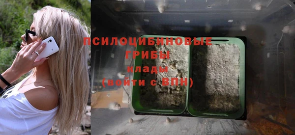 спайс Покачи